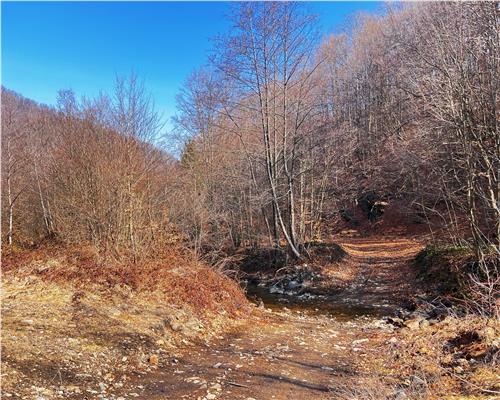 1 ha teren intravilan in Baita