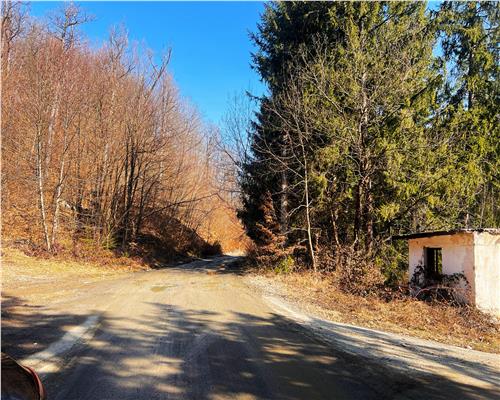 1 ha teren intravilan in Baita