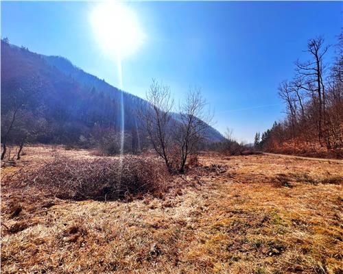 1 ha teren intravilan in Baita