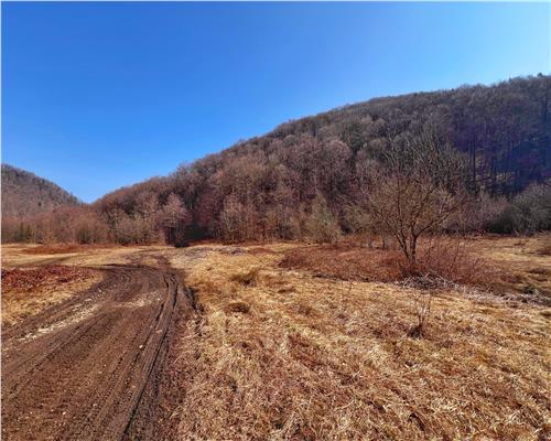1 ha teren intravilan in Baita