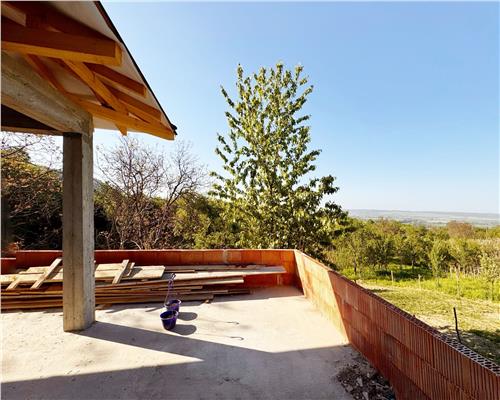 Casa la rosu, cu 16 ari teren, in inima naturii, Cicirlau
