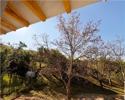 Casa la rosu, cu 16 ari teren, in inima naturii, Cicirlau