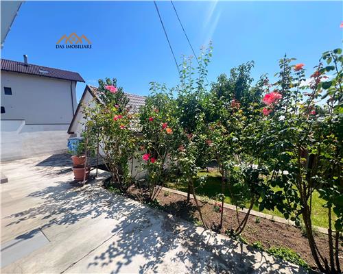 Proprietate cu potential , in zona Parc, Baia Mare