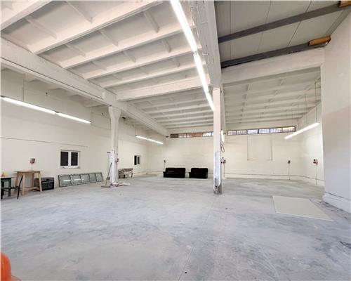 Hala industriala 600 m cu 3 ari teren, str. Vasile Lucaciu