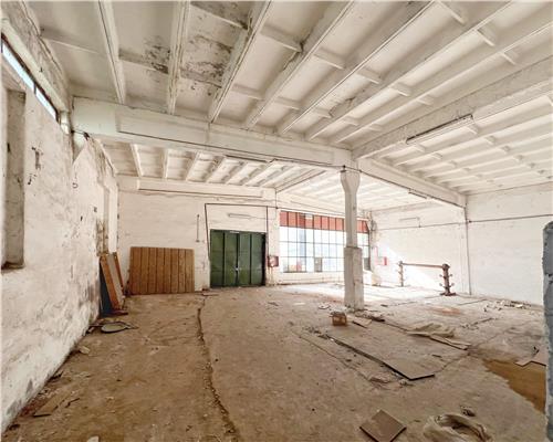 Hala industriala 600 m cu 3 ari teren, str. Vasile Lucaciu
