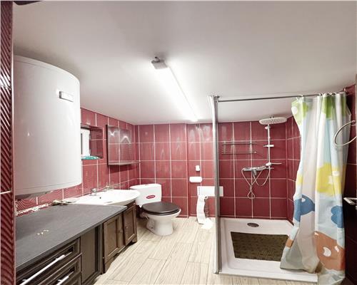Cabana cu 1000 mp teren in Firiza, pe drumul spre Izvoare