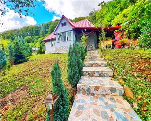 Cabana cu 1000 mp teren in Firiza, pe drumul spre Izvoare
