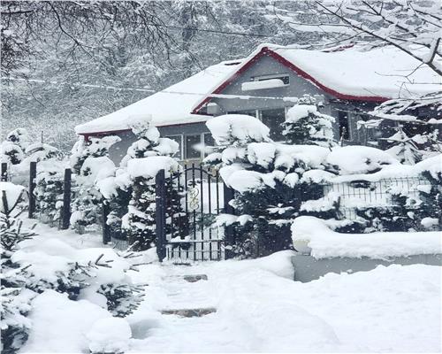 Cabana cu ciubar, in Firiza