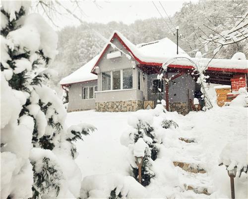 Cabana cu ciubar, in Firiza