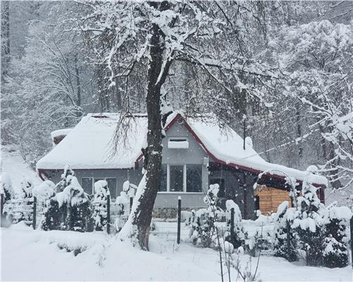 Cabana cu ciubar, in Firiza