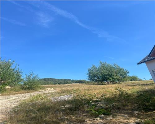 Teren intravilan, la iesire din Baia Mare spre Baia Sprie