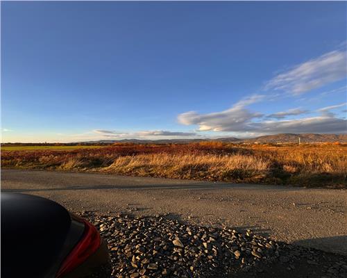 Teren intravilan Mocira, str. Trandafirilor