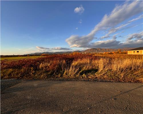Teren intravilan Mocira, str. Trandafirilor