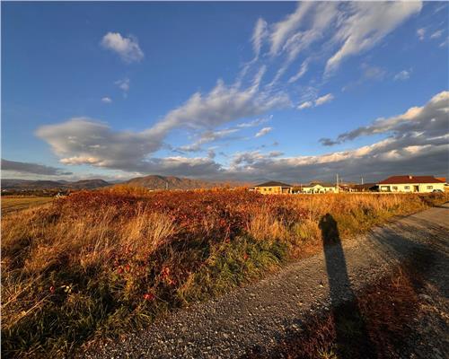 Teren intravilan Mocira, str. Trandafirilor