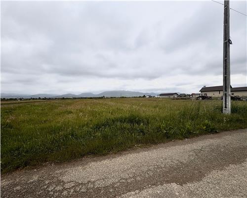 Teren intravilan Mocira, str. Crinului