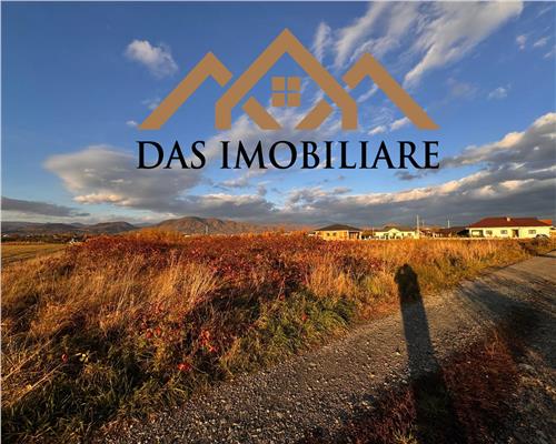 30 ari teren intravilan Mocira, str. Trandafirilor