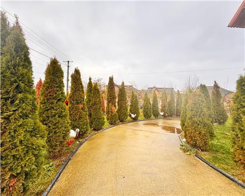 Vila moderna, P+E+M, în centrul Borlestiului – 450 mp utili, teren 44 ari.