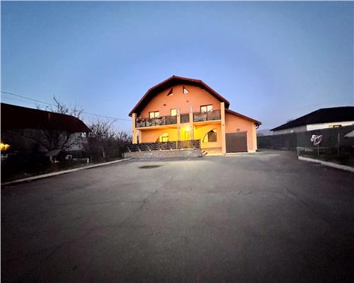 Casa cu etaj si 43 ari teren, Borlesti