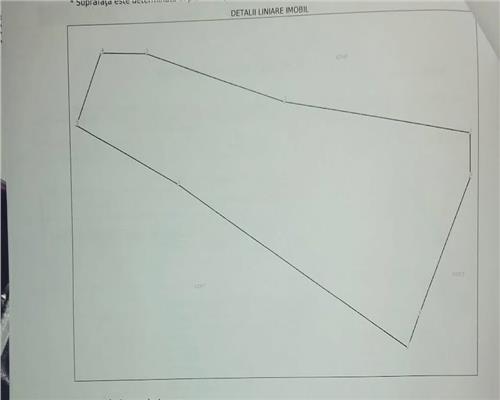 12 ari teren intravilan, Baita , zona de padure