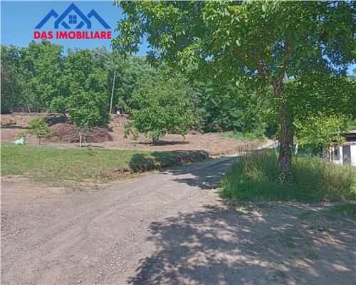 Teren intravilan,  2,5 ha, zona de deal in Seini