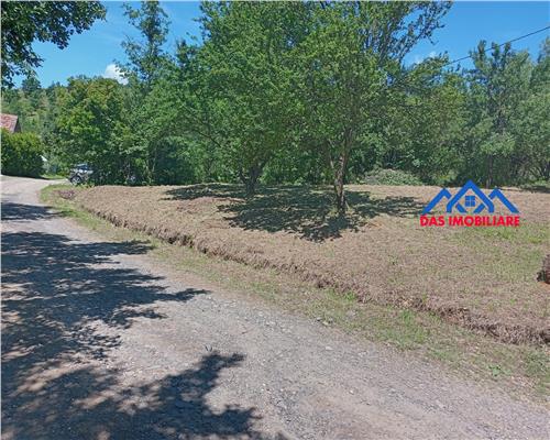 Teren intravilan,  2,5 ha, zona de deal in Seini