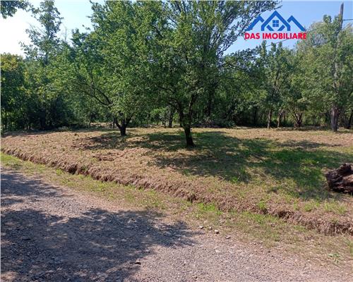 Teren intravilan,  2,5 ha, zona de deal in Seini