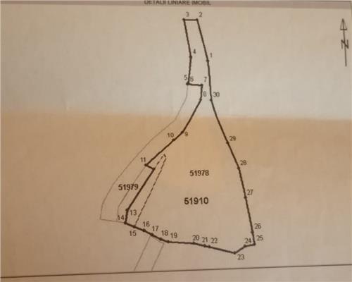 Teren intravilan,  2,5 ha, zona de deal in Seini