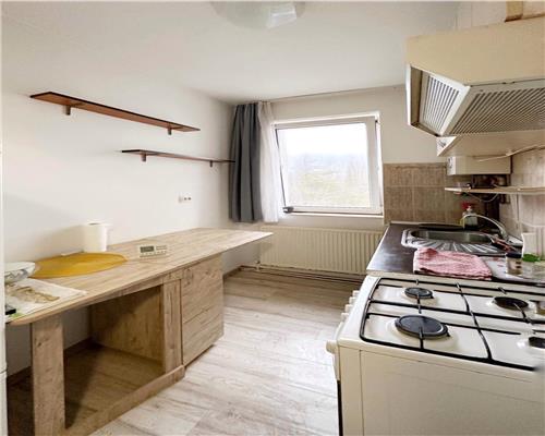 Apartament 2 camere , de inchiriat ,Zona Albina