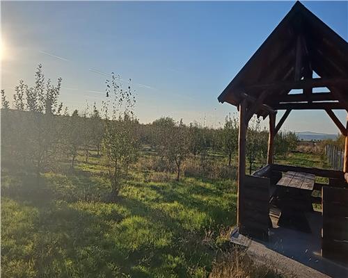 Livada 2,04 ha , in Iadara