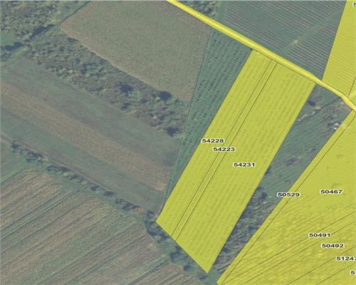 Livada 2,04 ha , in Iadara