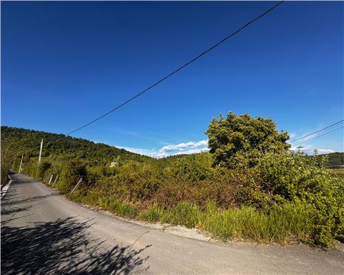 Teren intravilan, zona parc Hosteze, Tautii Magheraus