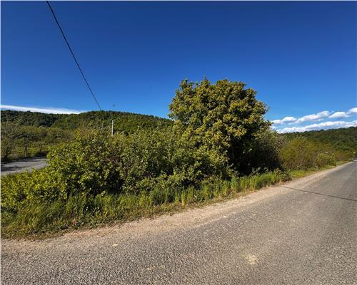 Teren intravilan, zona parc Hosteze, Tautii Magheraus