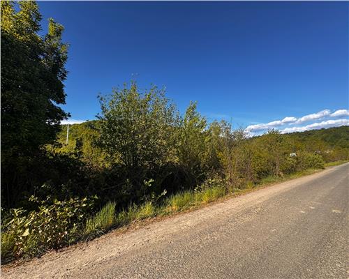 Teren intravilan, zona parc Hosteze, Tautii Magheraus