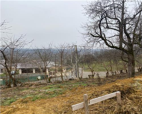 Teren in Carbunari cu proiect de casa