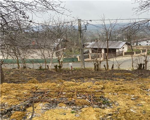 Teren in Carbunari cu proiect de casa
