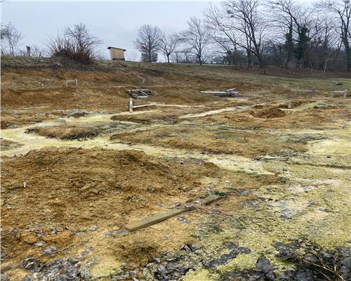 Teren in Carbunari cu proiect de casa