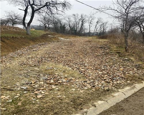 Teren in Carbunari cu proiect de casa