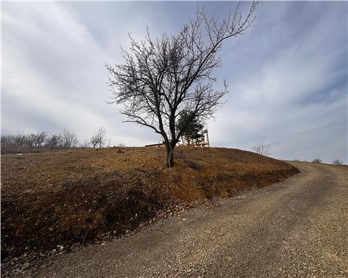 Teren intravilan cu o cabana Aframe, in constructie, Coas