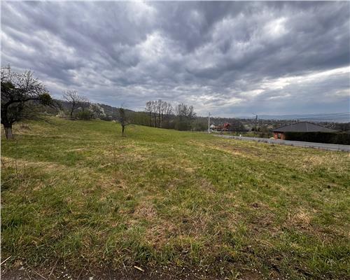 teren intravilan Baia Sprie, la drum asfaltat