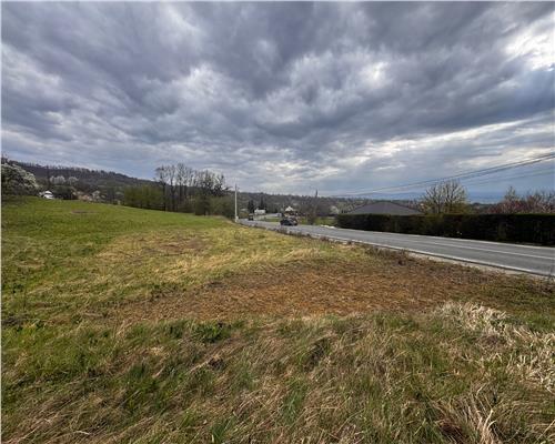 teren intravilan Baia Sprie, la drum asfaltat