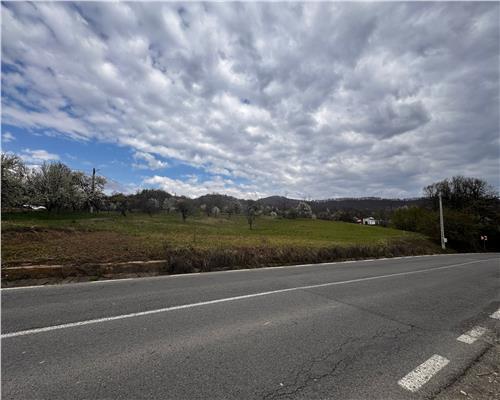 teren intravilan Baia Sprie, la drum asfaltat