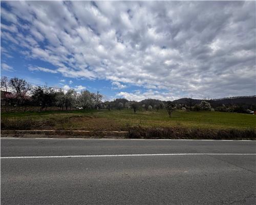 teren intravilan Baia Sprie, la drum asfaltat