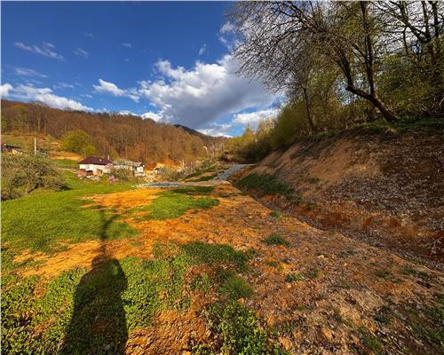 Teren intravilan , ideal cabane, Baita , zona centrala