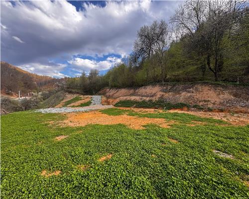 Teren intravilan , ideal cabane, Baita , zona centrala