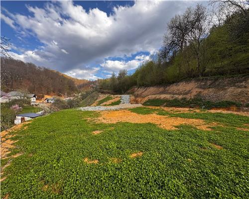 Teren intravilan , ideal cabane, Baita , zona centrala