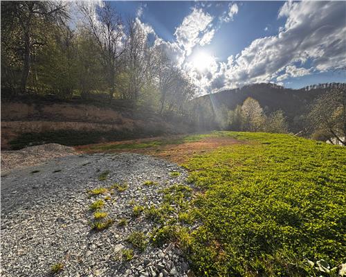 Teren intravilan , ideal cabane, Baita , zona centrala