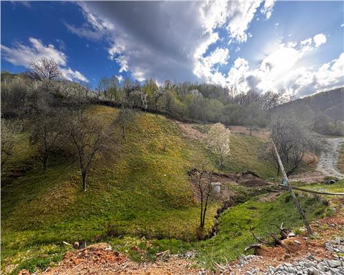 Teren intravilan , ideal cabane, Baita , zona centrala