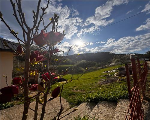 Teren intravilan , ideal cabane, Baita , zona centrala