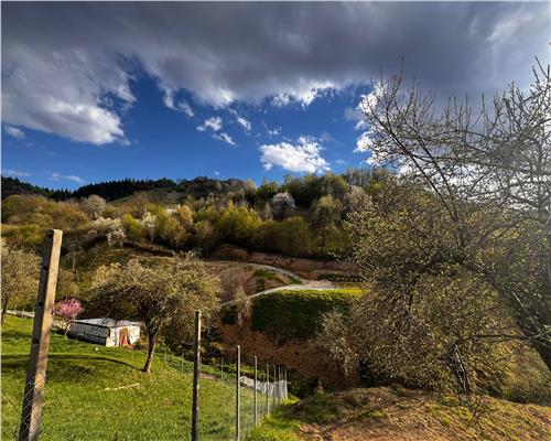 Teren intravilan , ideal cabane, Baita , zona centrala