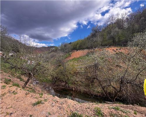 Teren intravilan , ideal cabane, Baita , zona centrala